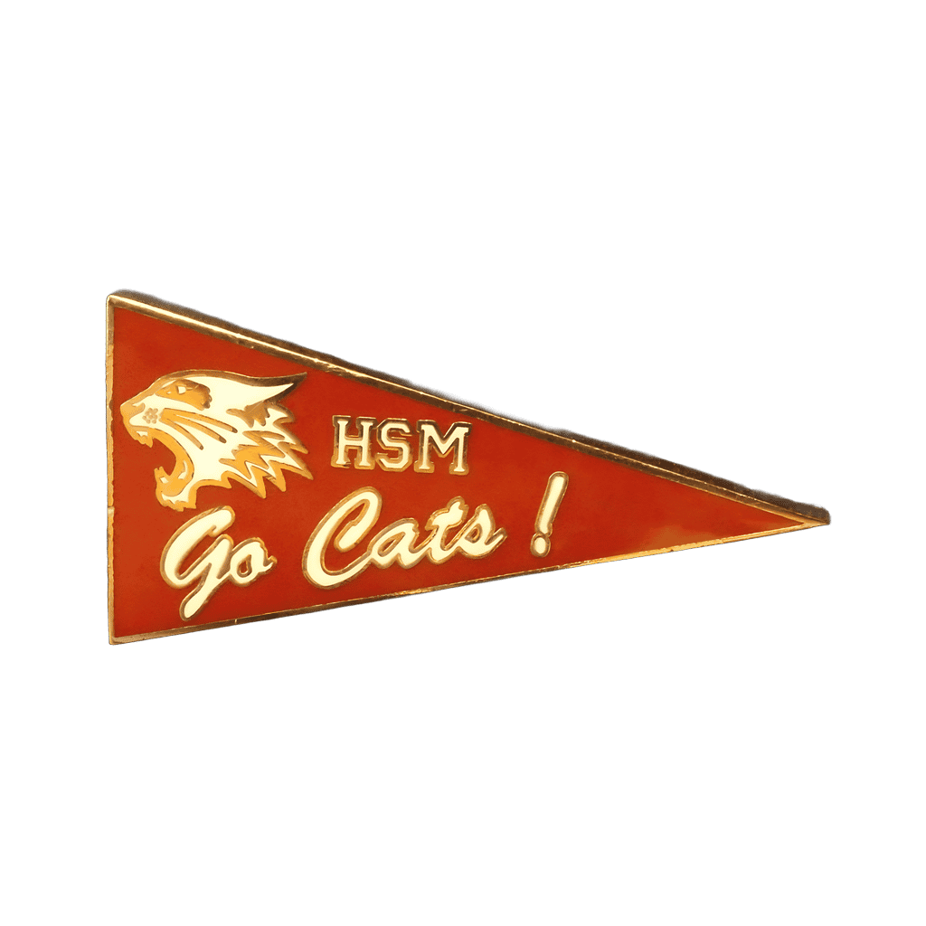 High School Musical Pennant Disney pin