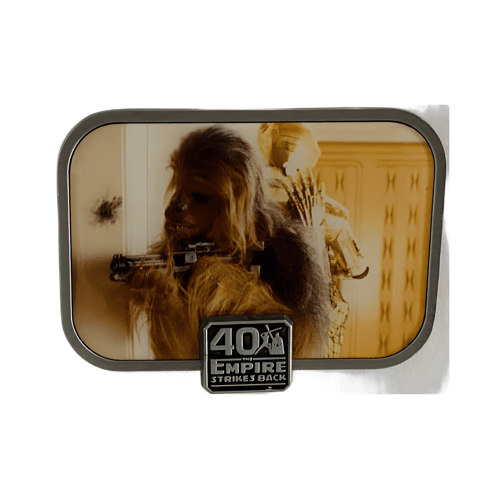 Chewbacca and C-3PO Disney pin