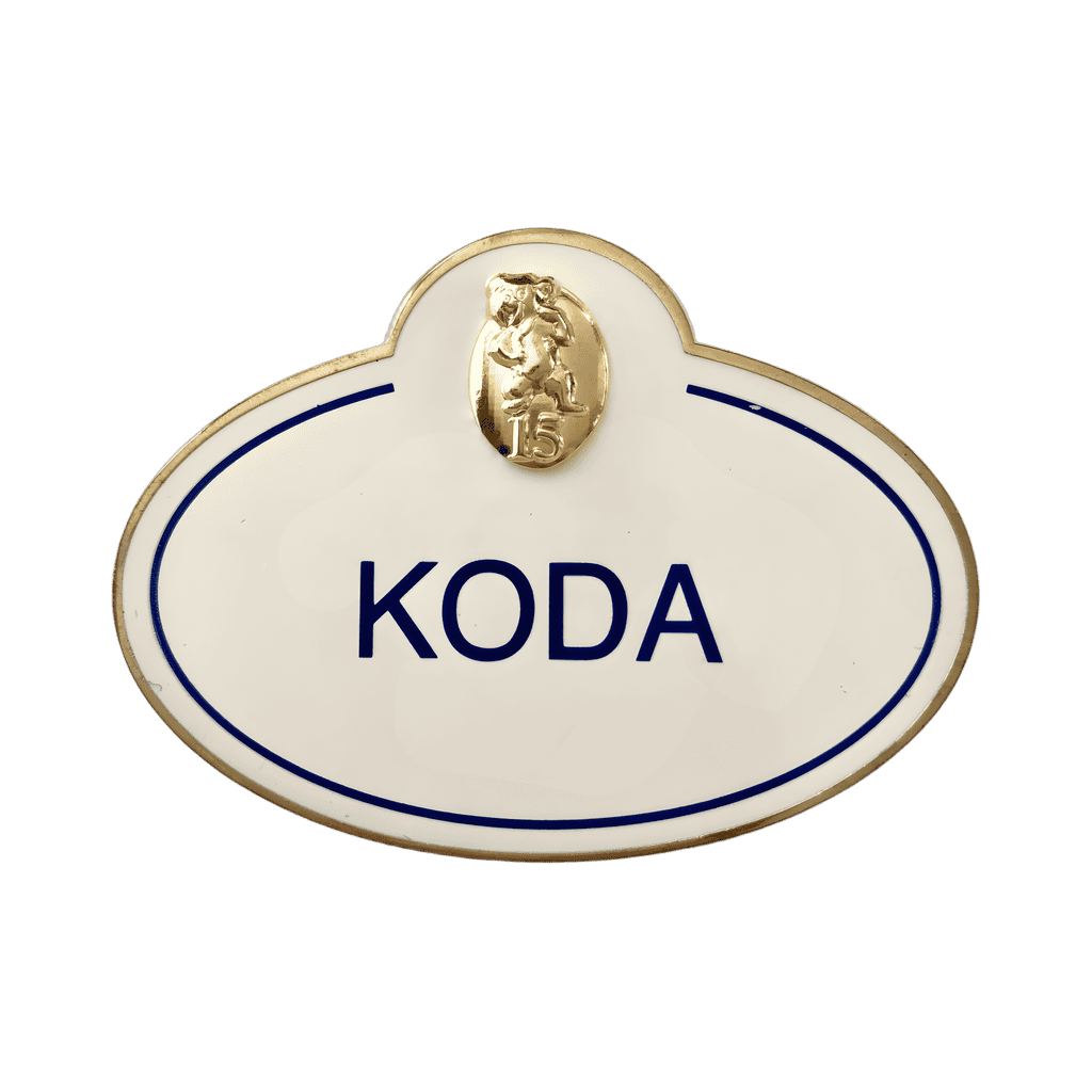 Koda (Brother Bear) 15th Disney pin