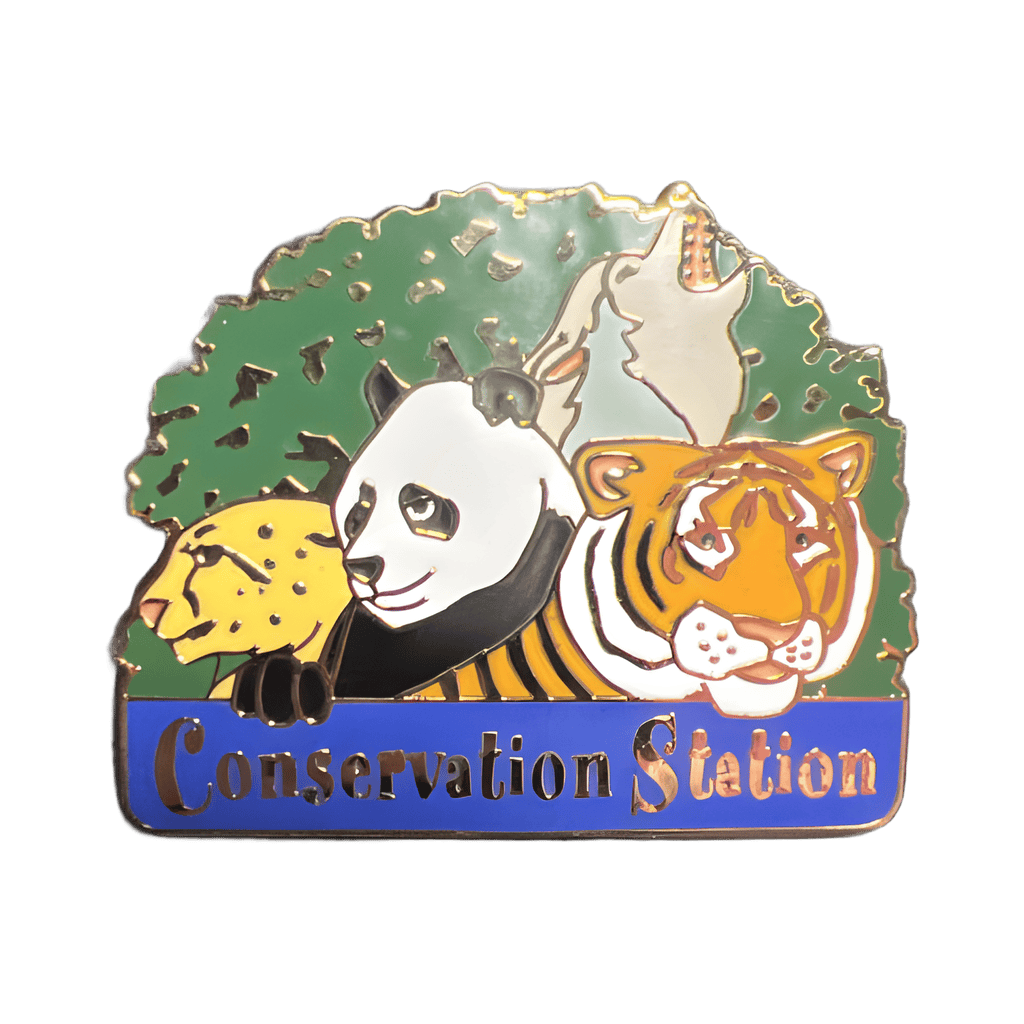 Conservation Station Disney pin