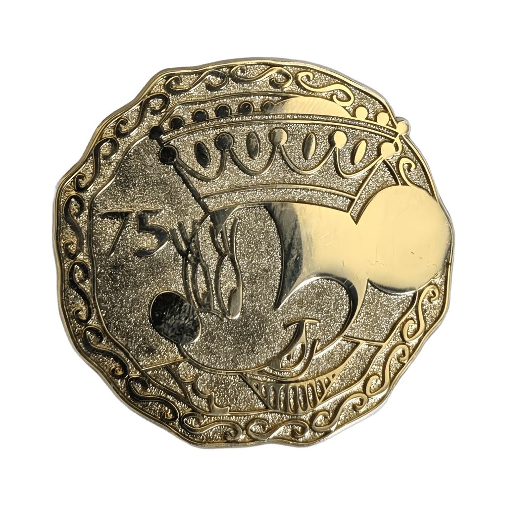 Pirate Coin Pin Series - Minnie Disney pin