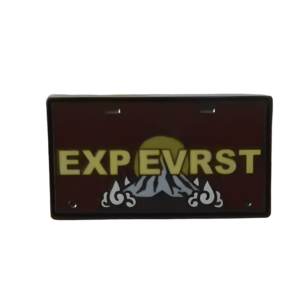 Expedition Everest License Plate Disney pin
