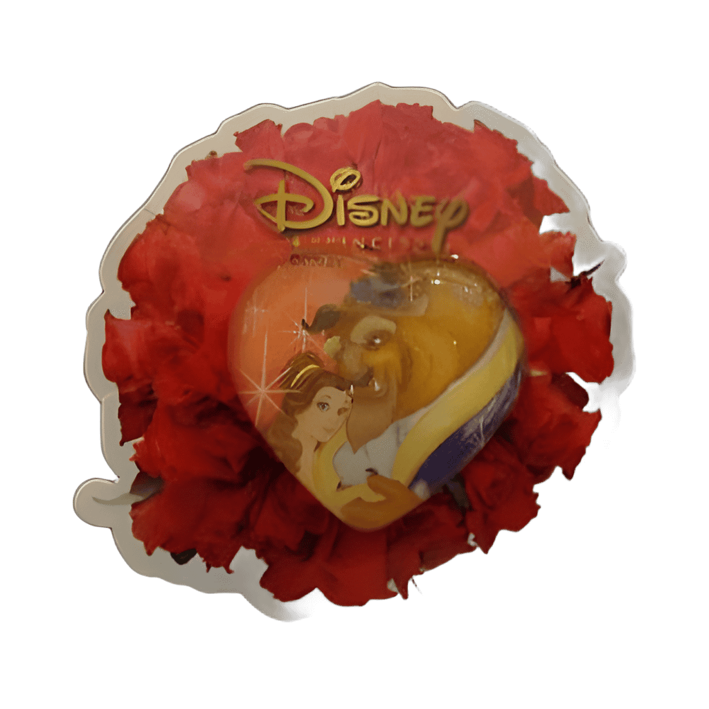 Belle & Beast in Dome Disney pin