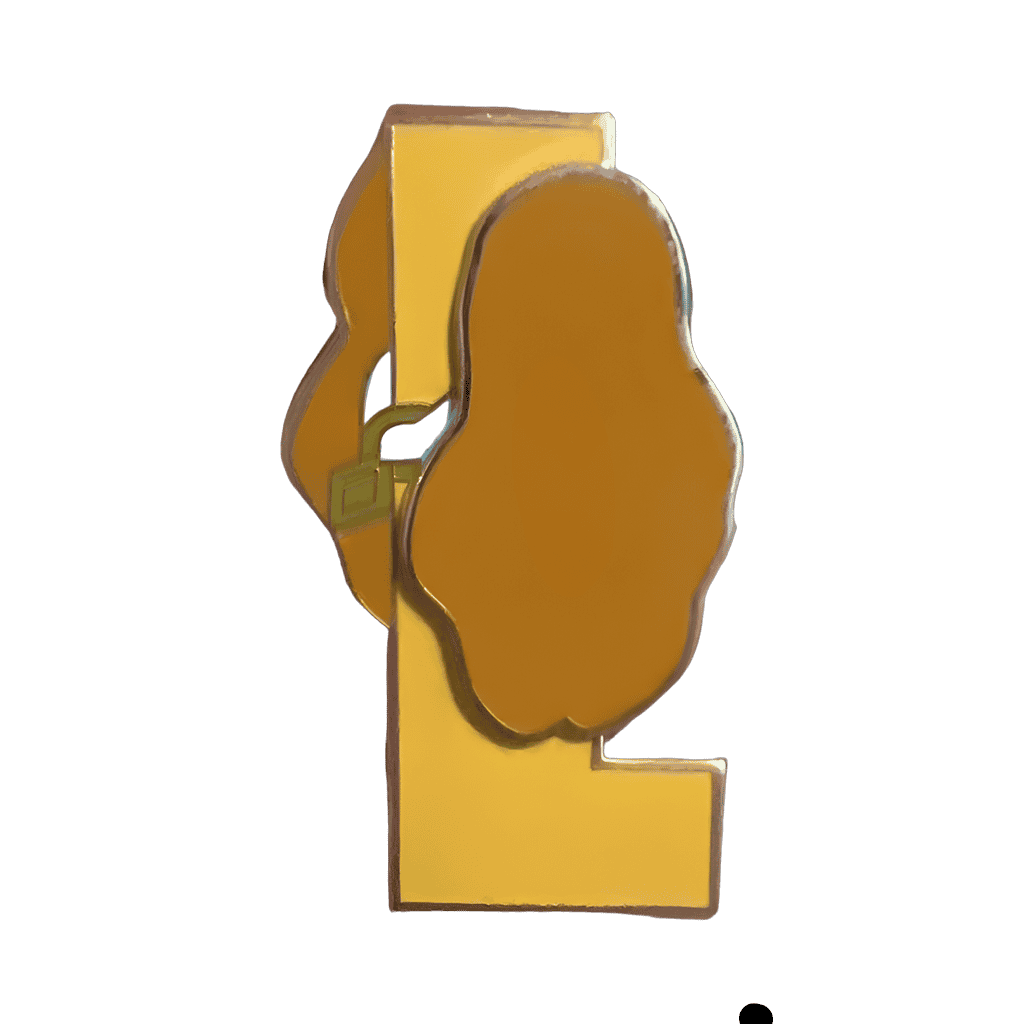 L - lady Disney pin