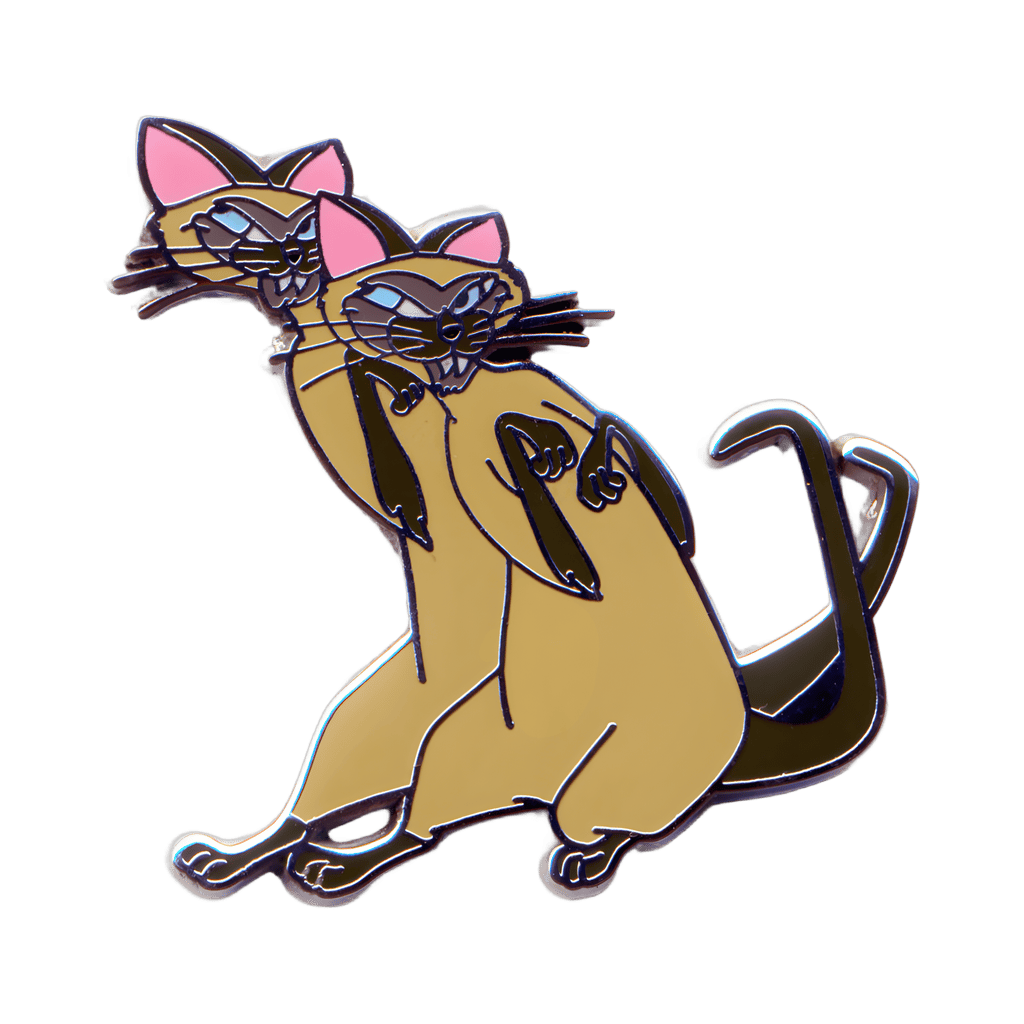 Si and Am Disney pin