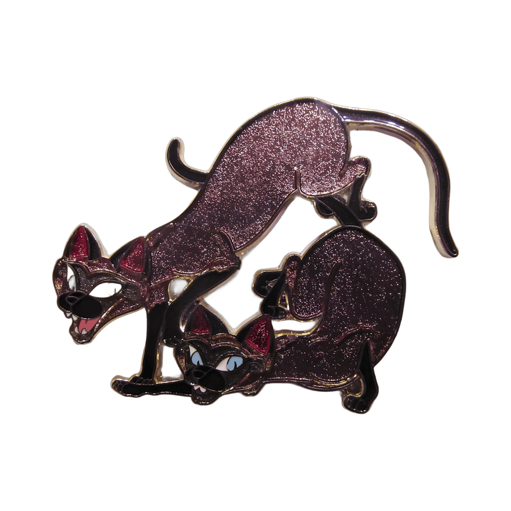 Si and Am Disney pin