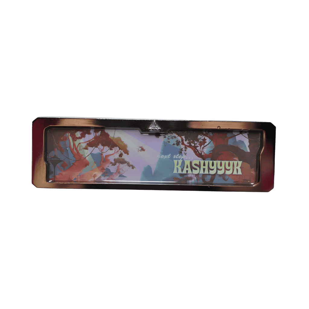Kashyyk Disney pin