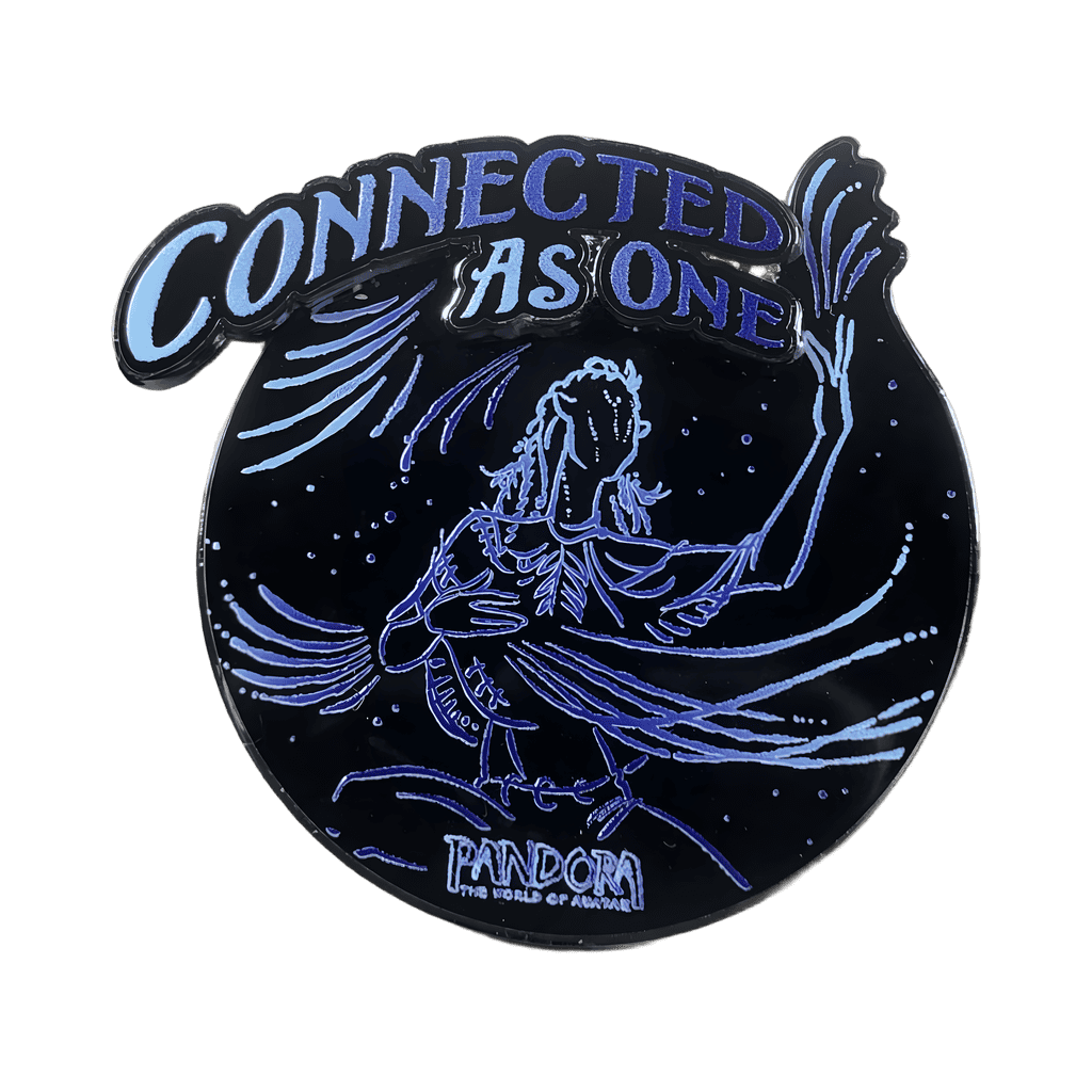Connected as One - Shaman of Songs Disney pin