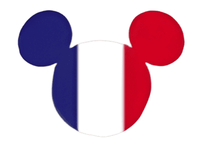 France Disney pin