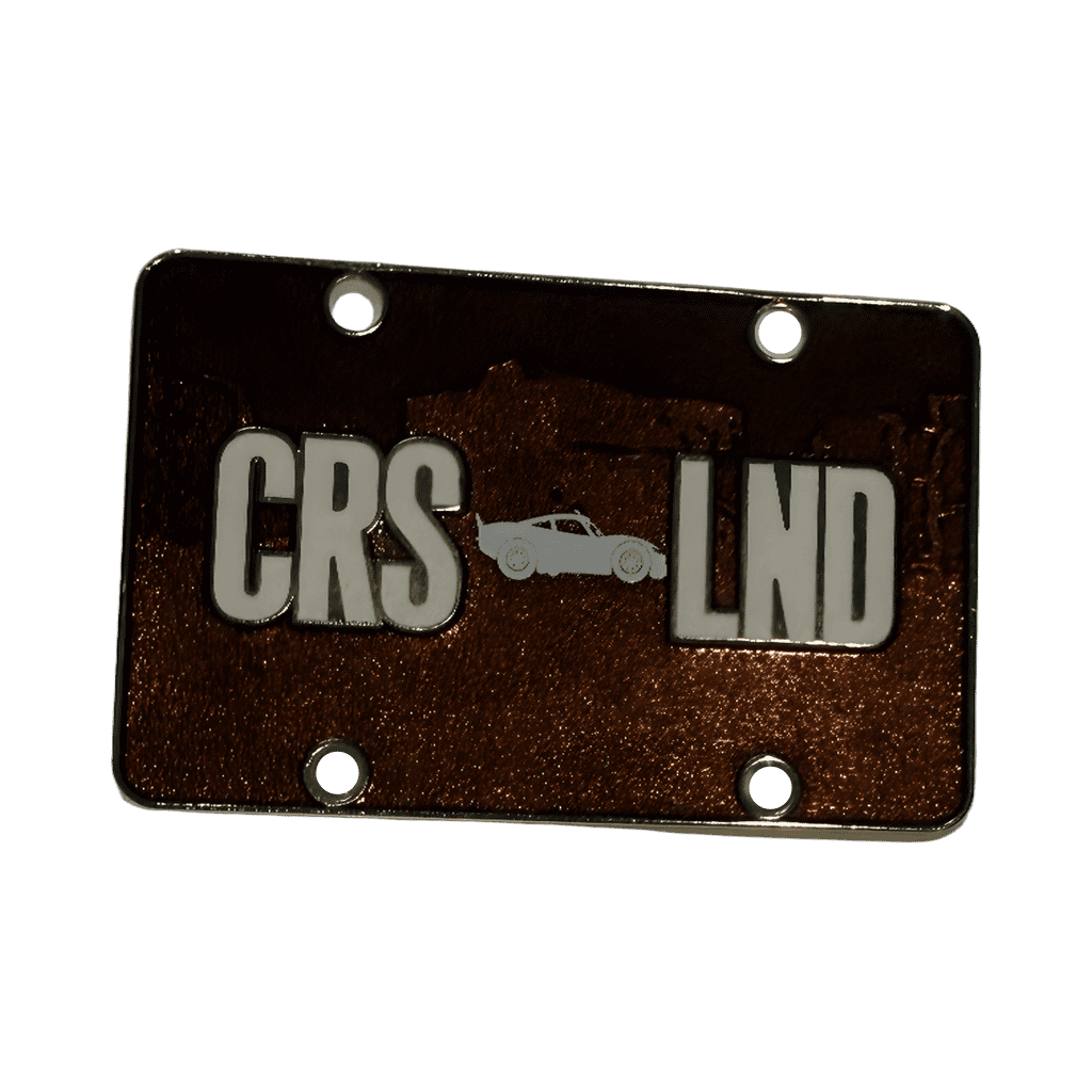 CRS LND Disney pin