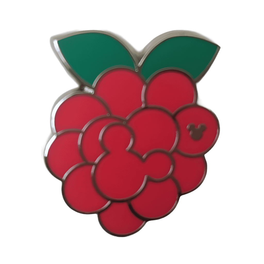Raspberry - Completer Disney pin