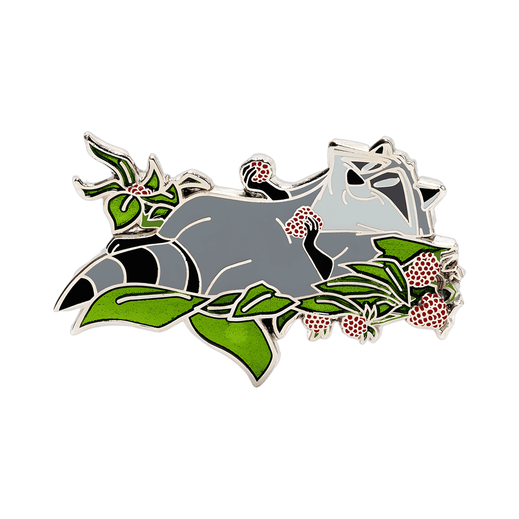 Meeko Disney pin