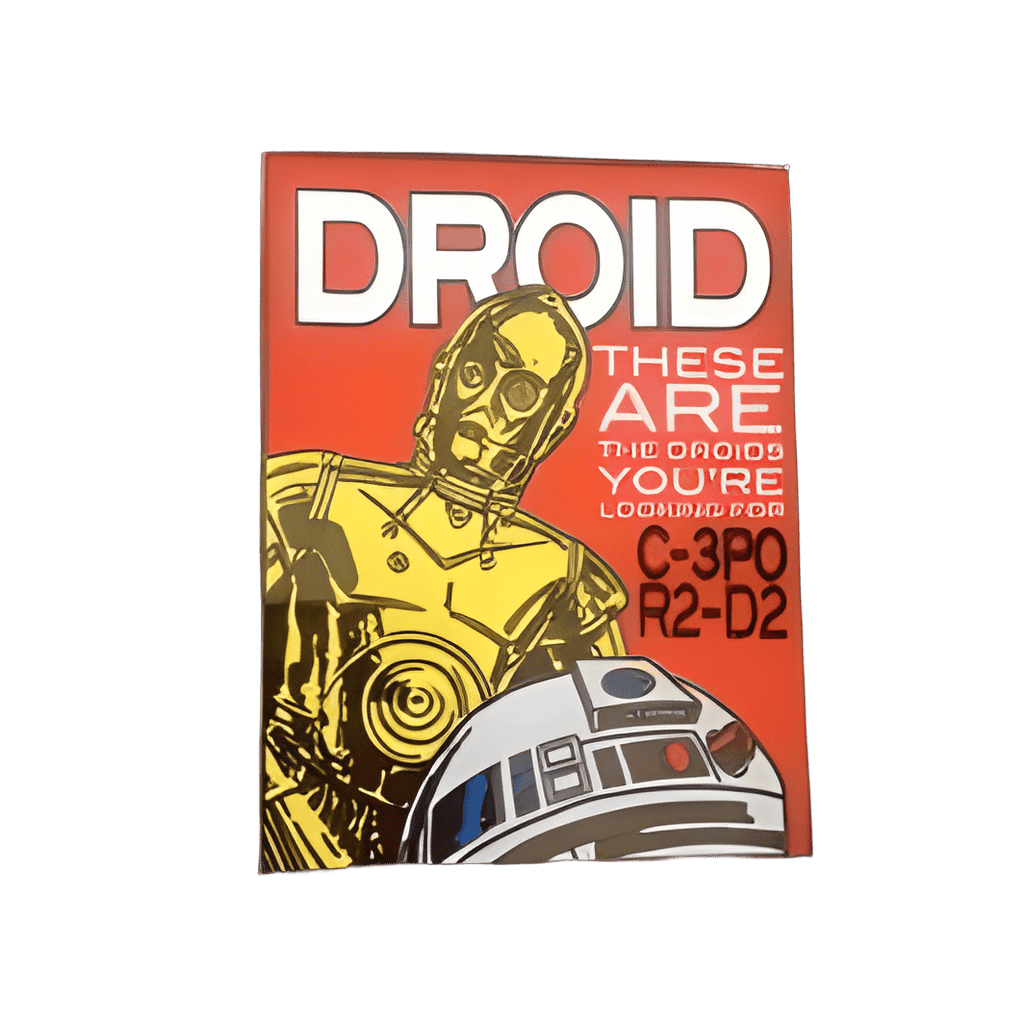 C-3PO and R2-D2 Disney pin