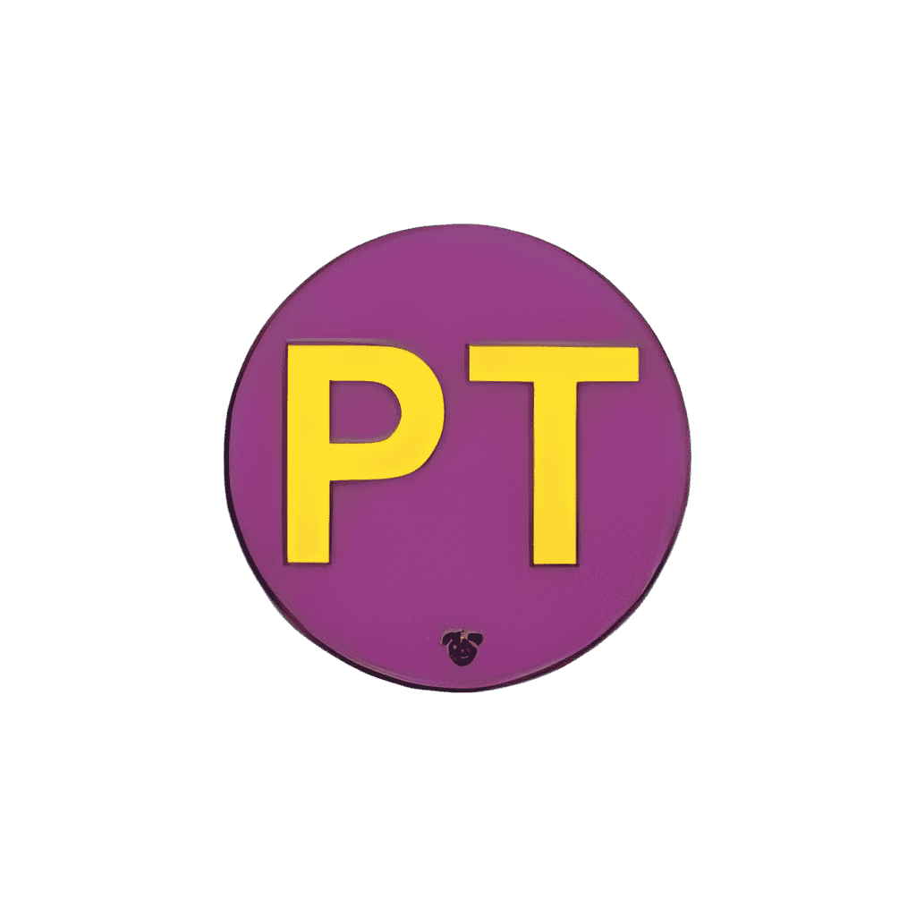 Pin Trading Disney pin