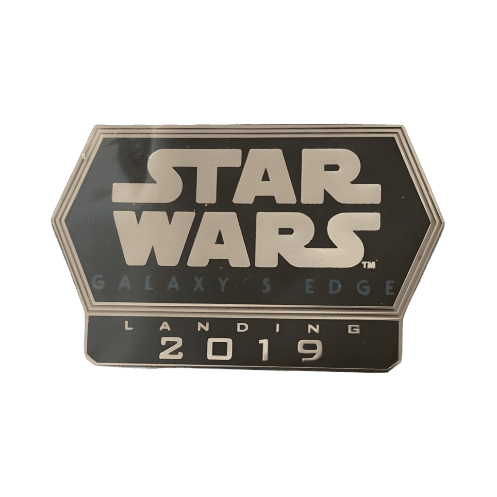 Landing 2019 Lanyard Disney pin