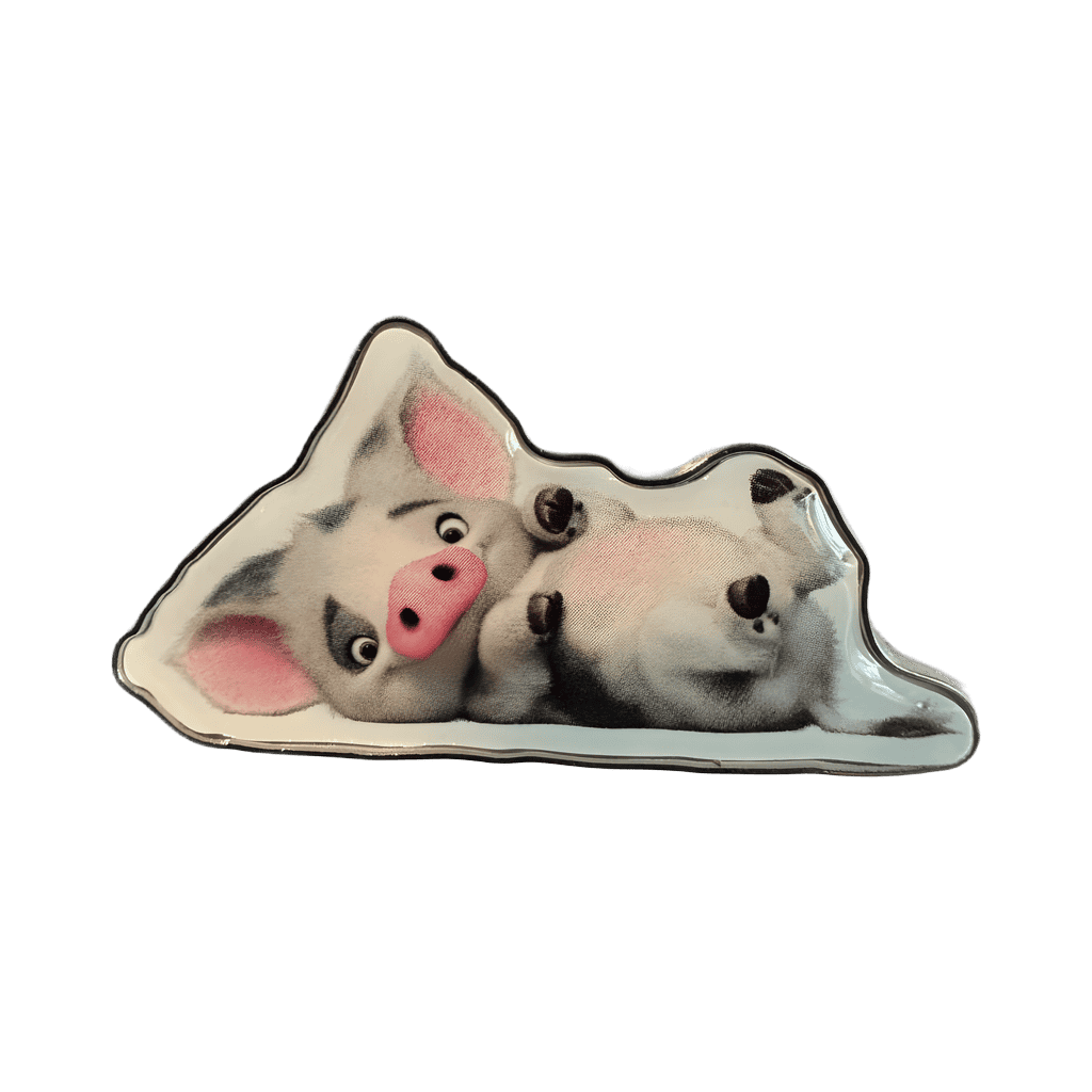 Pua Disney pin
