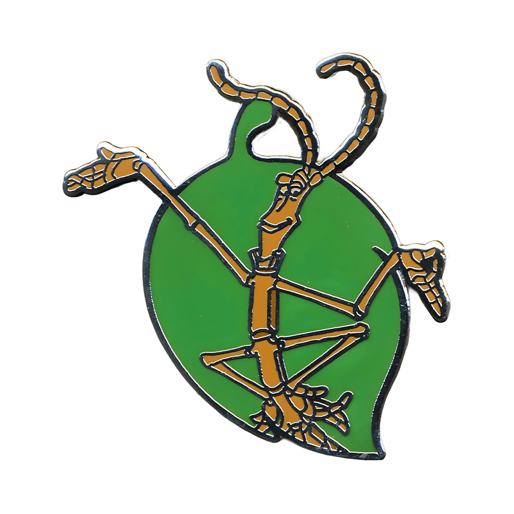 Slim Disney pin