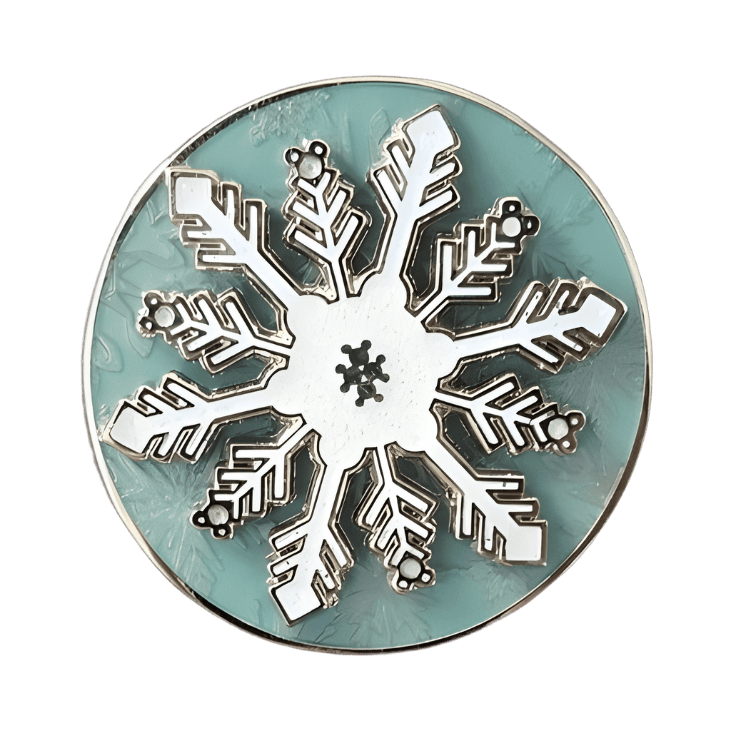Winter 2013 - Snowflake Disney pin