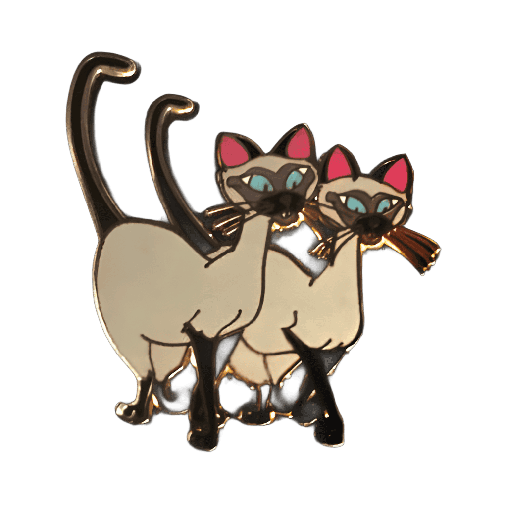 Si and Am Disney pin