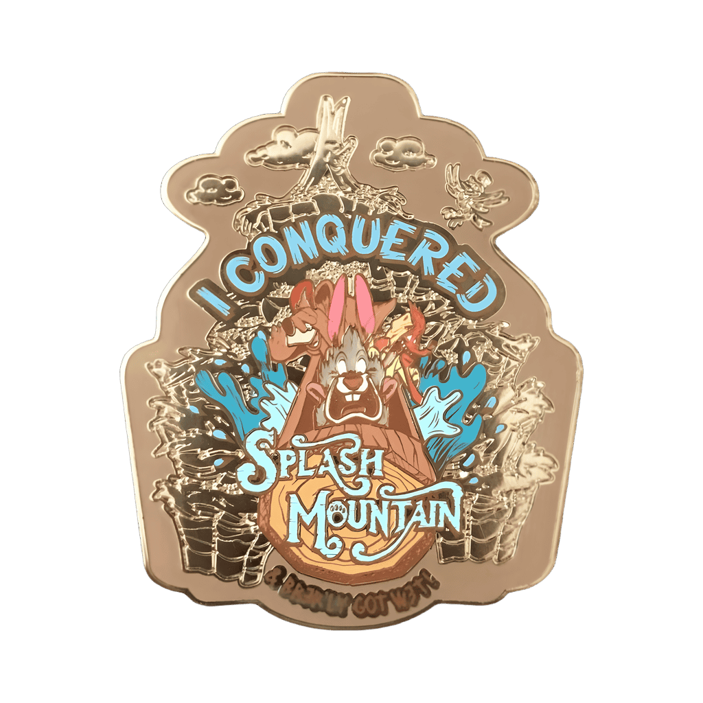 I Conquered Splash Mountain & Brer'ly Got Wet! Disney pin