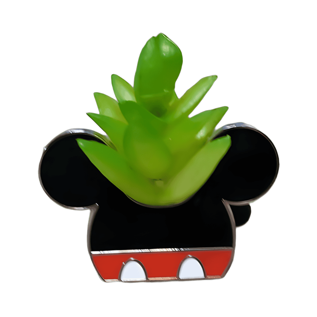 Mickey Mouse Disney pin