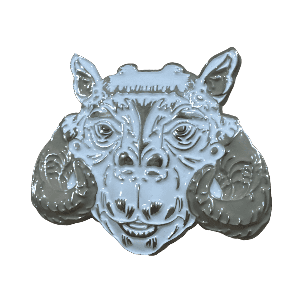 Taun Taun Disney pin