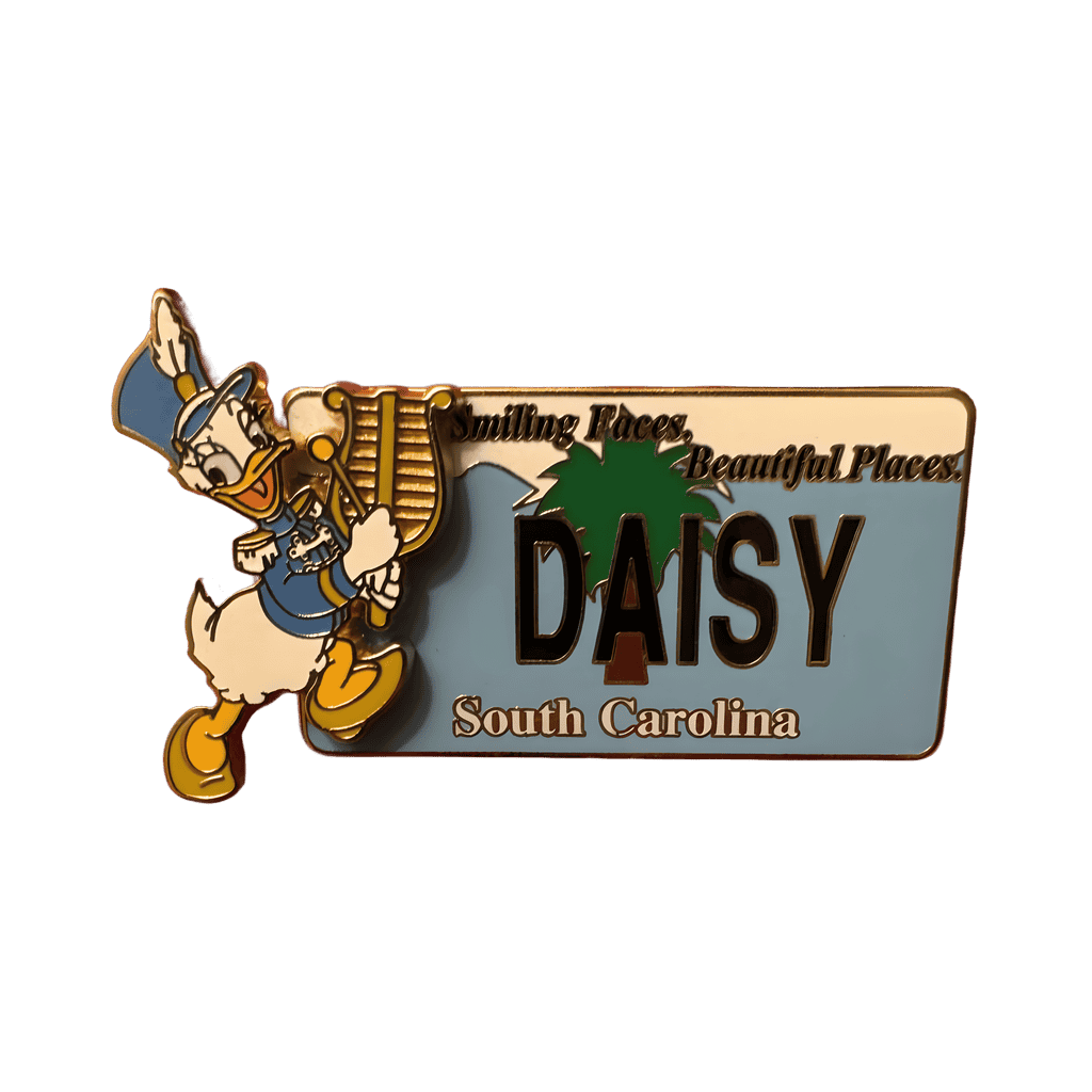South Carolina Disney pin