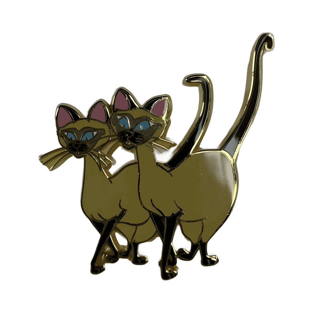 Si & Am Disney pin