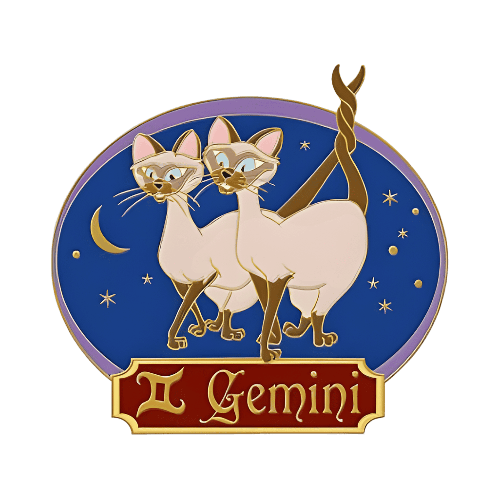 Si & Am and Gemini Disney pin