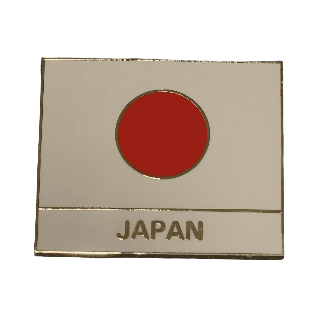 Japan Disney pin