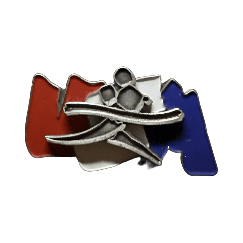 USA Track Team Disney pin