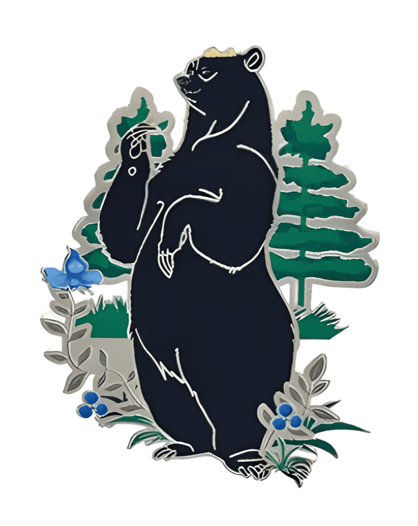 Queen Elinor Disney pin