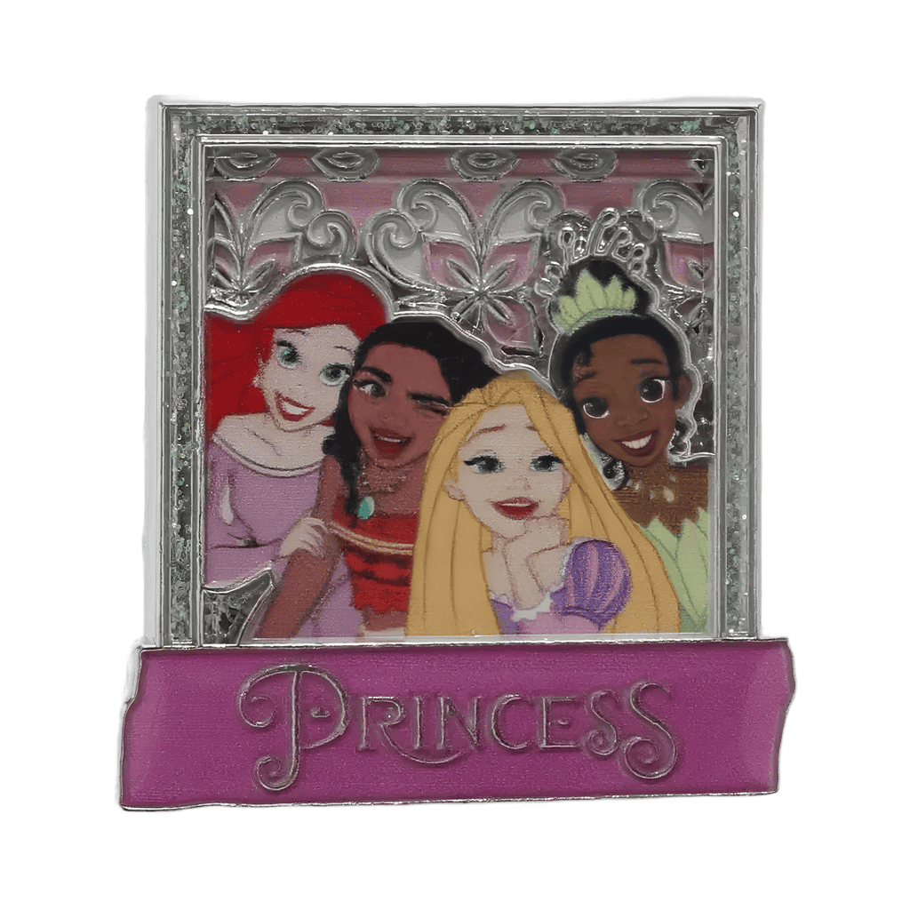 Princess Group Photo 3D Disney pin