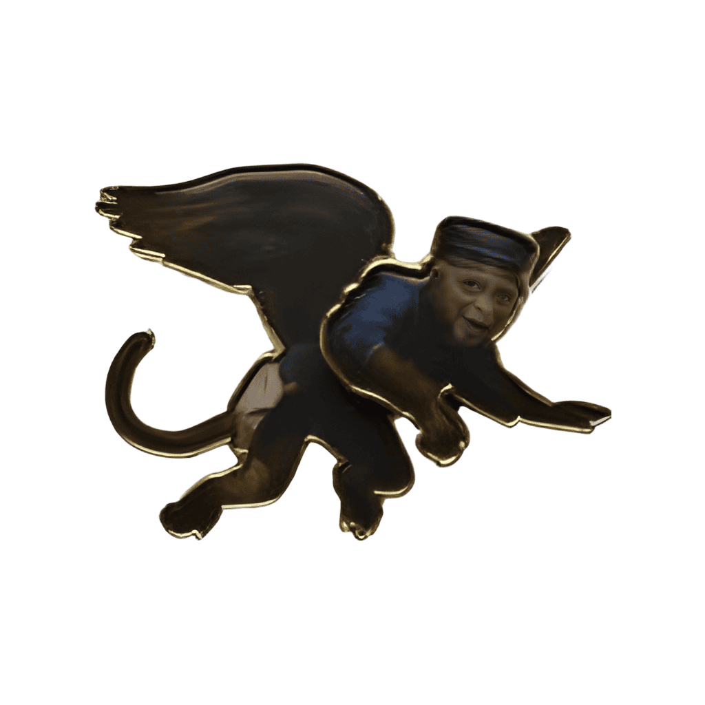 Finley Disney pin