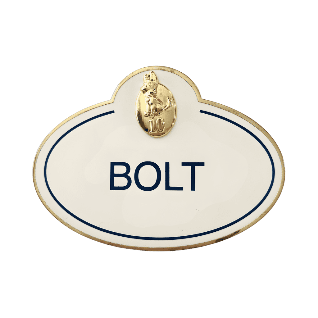 Bolt 10th Disney pin