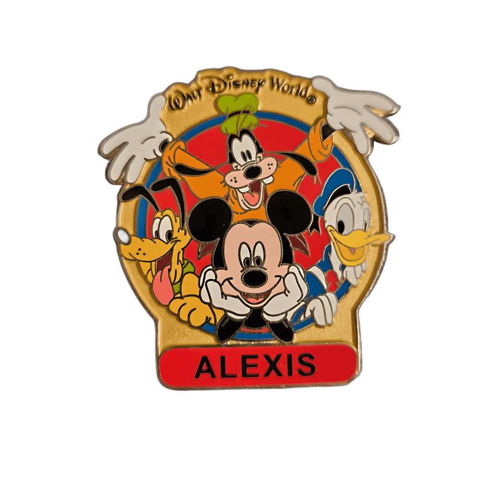 Walt Disney World — Mickey and Gang Disney pin