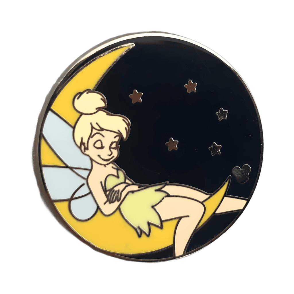 Night Disney pin