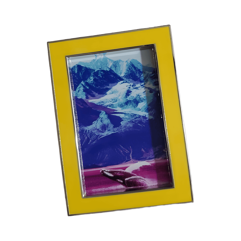 D23 2022 - National Geographic - Ocean Disney pin