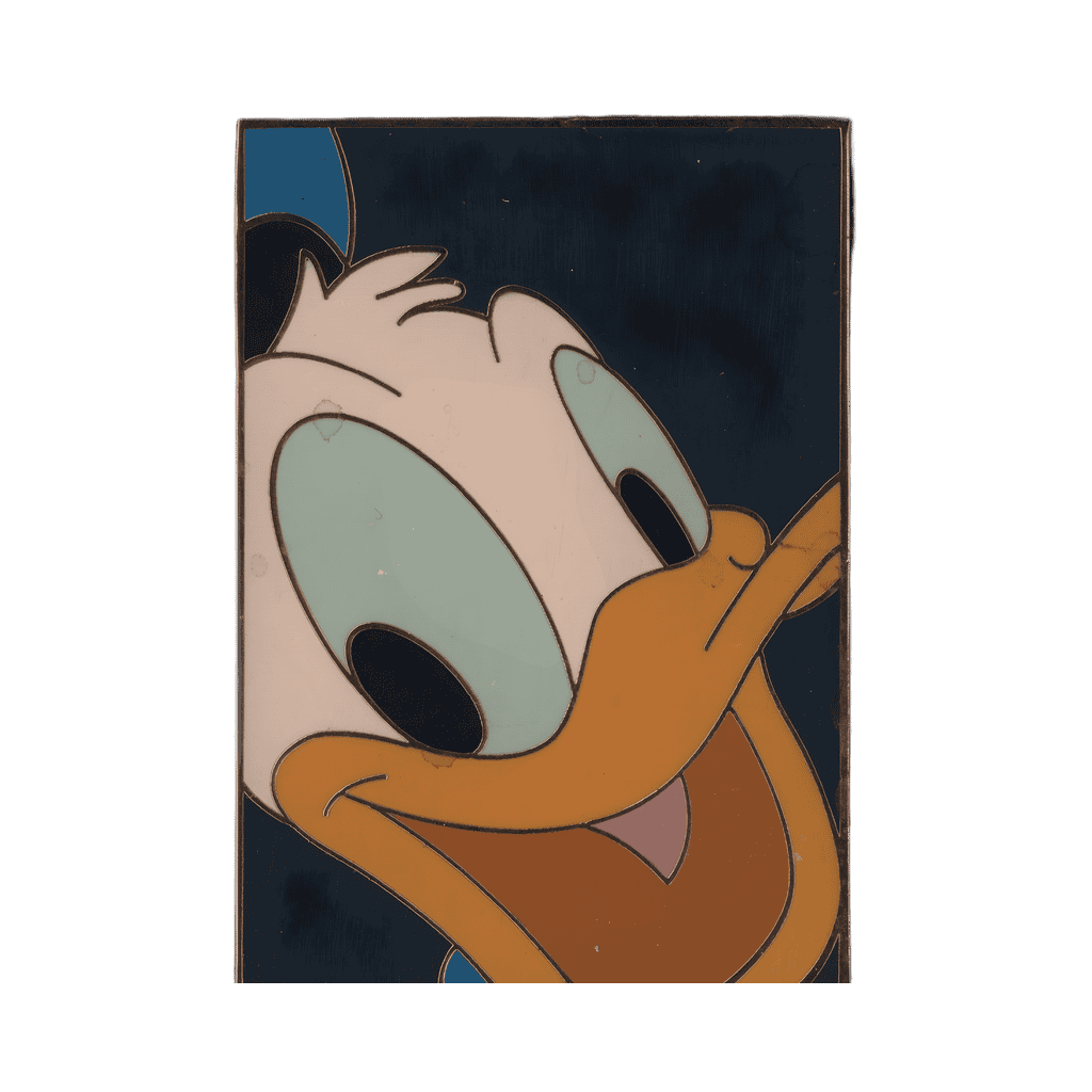Donald Duck Disney pin
