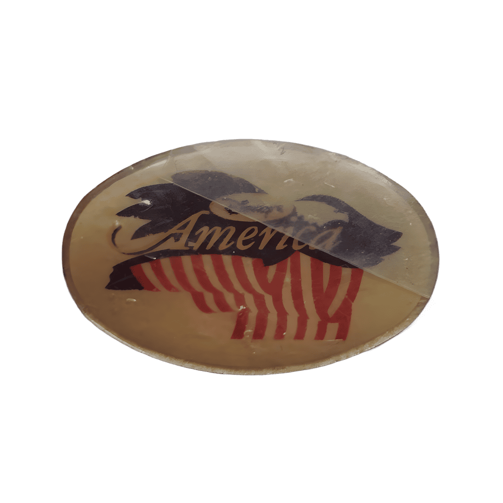 Disney's America Theme Park Logo Disney pin