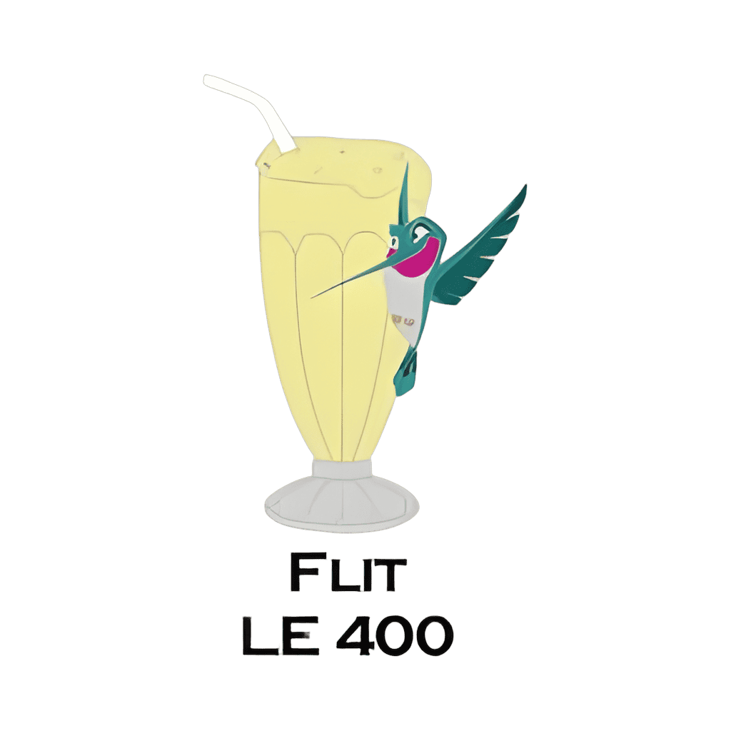 Flit Disney pin
