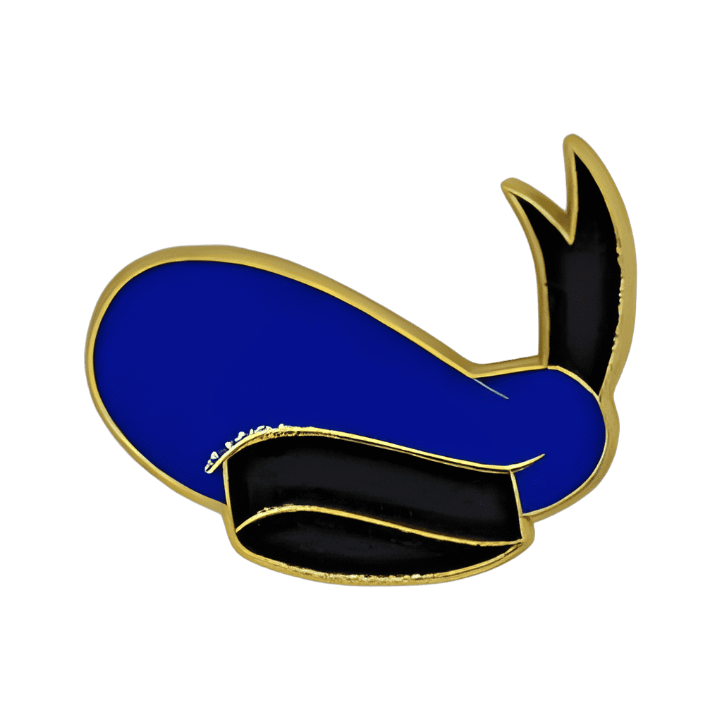 Donald Duck Hat Disney pin