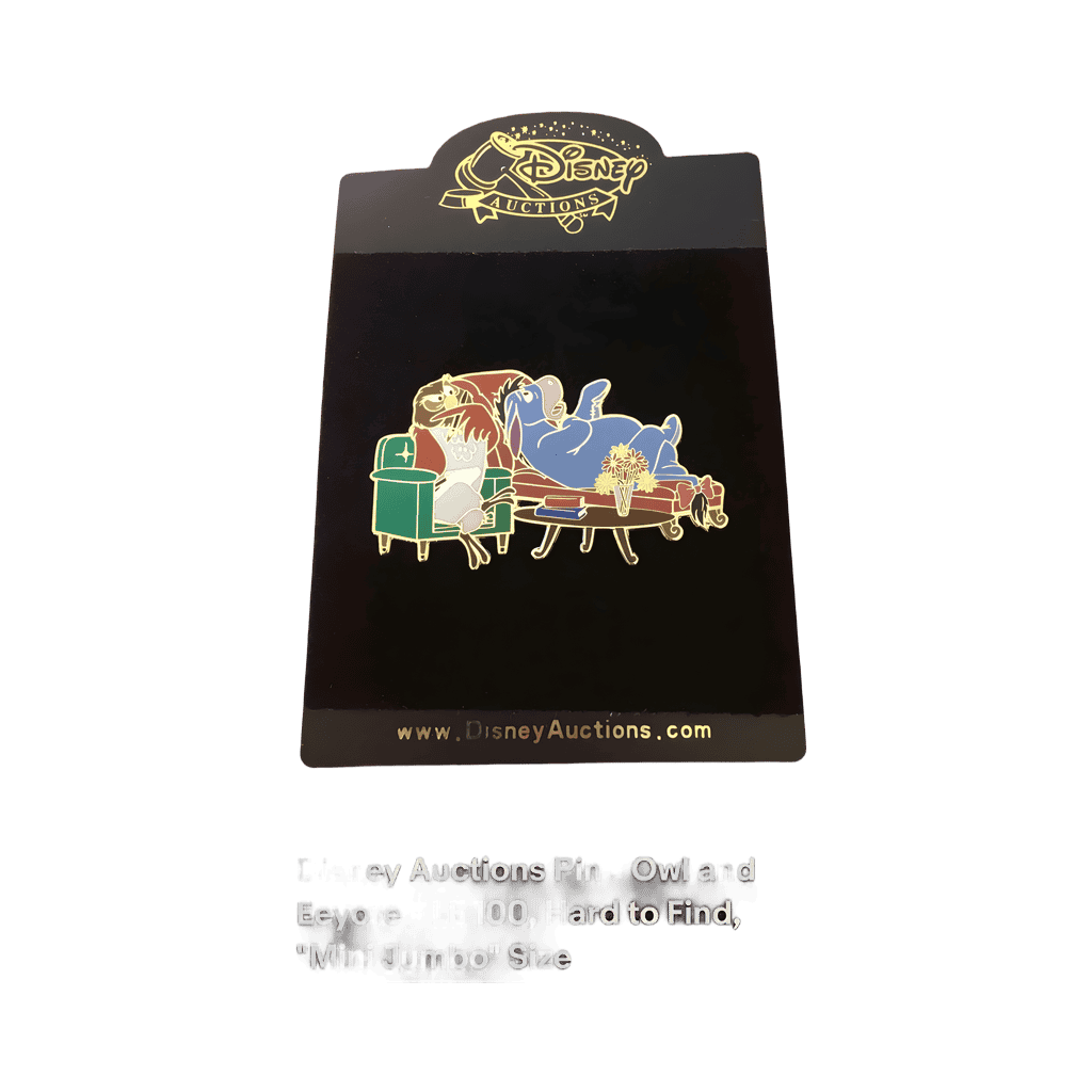 Eeyore Confides in Owl Jumbo Disney pin