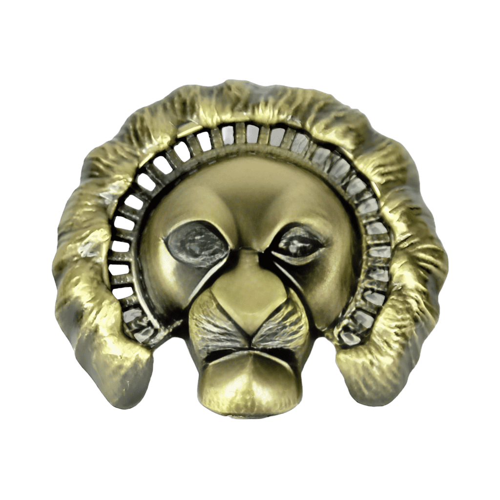 Mask Pin Set - Mufasa Disney pin