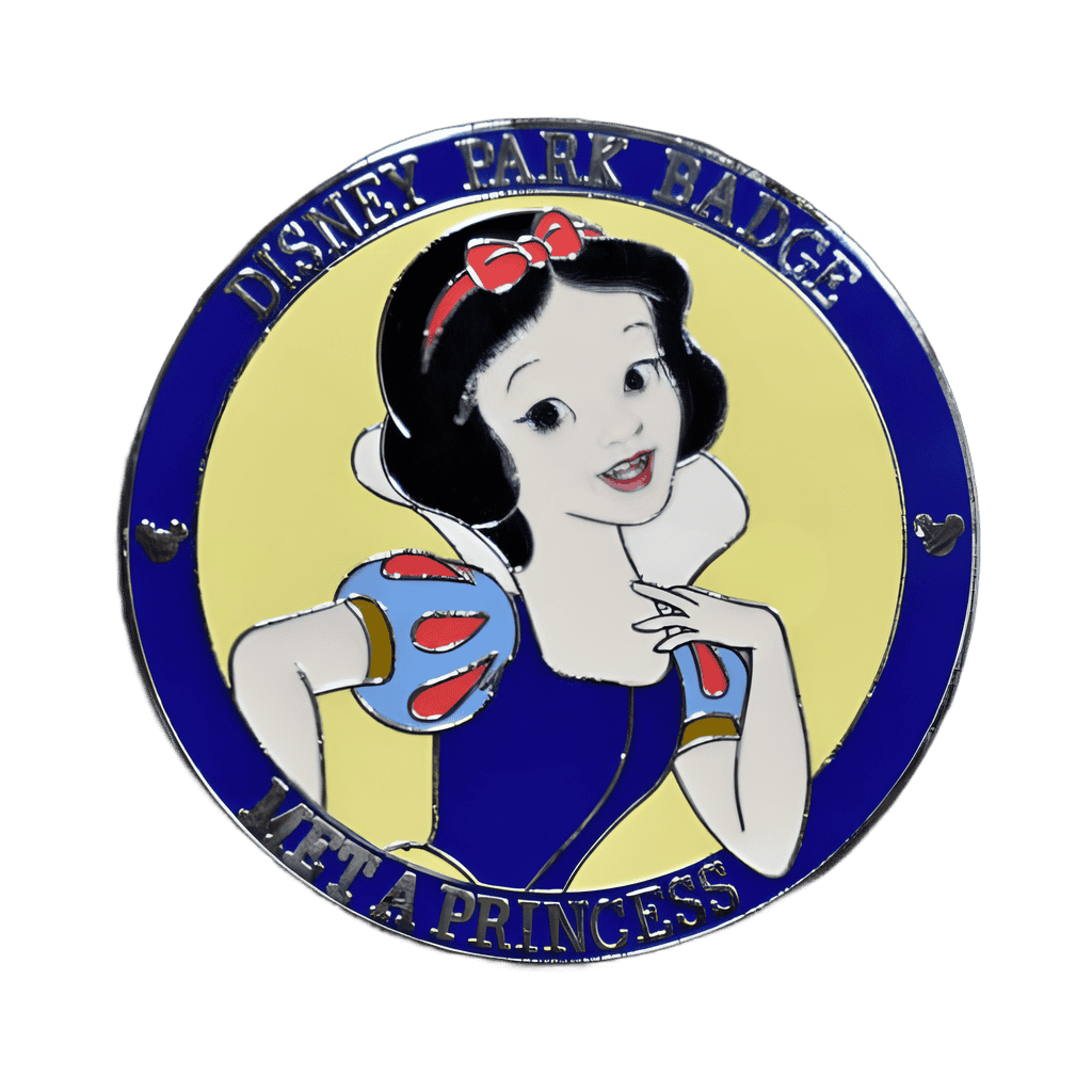 Met a Princess Disney pin