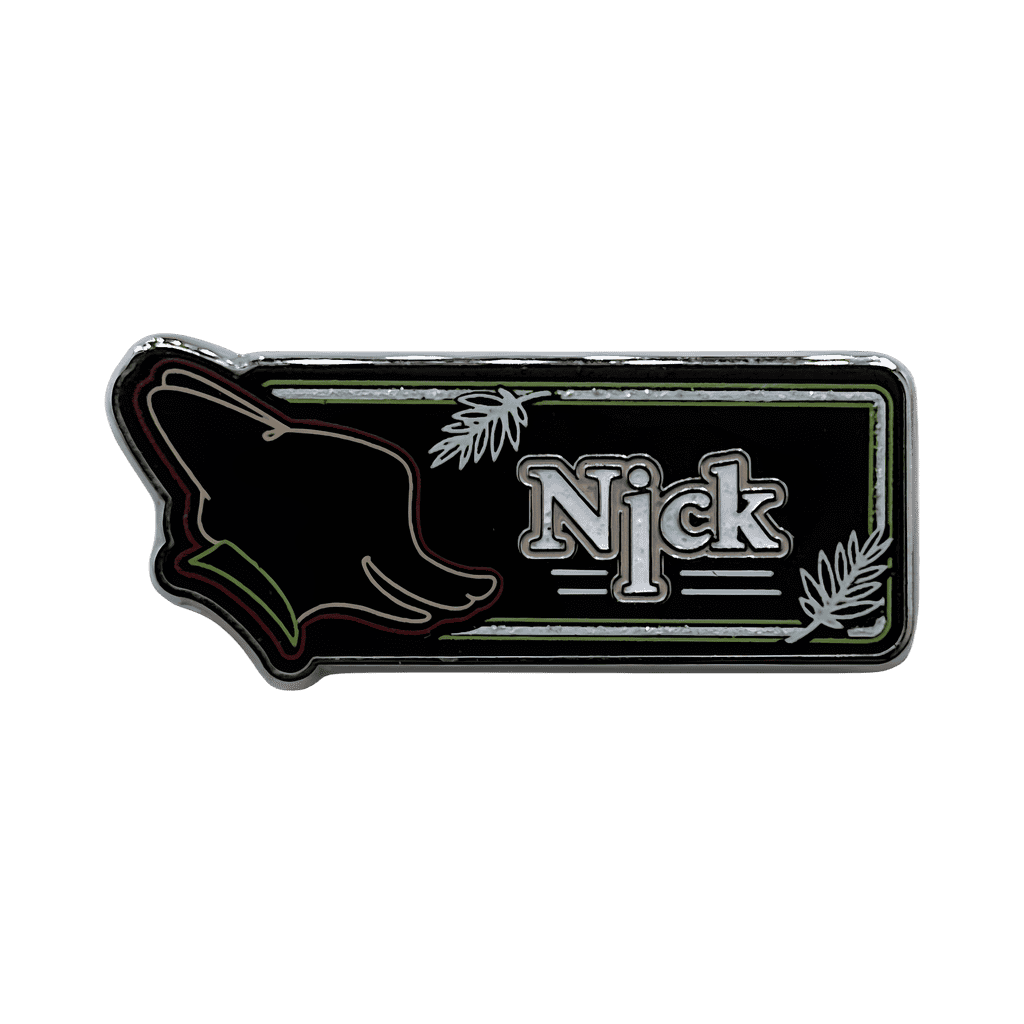 Nick Disney pin