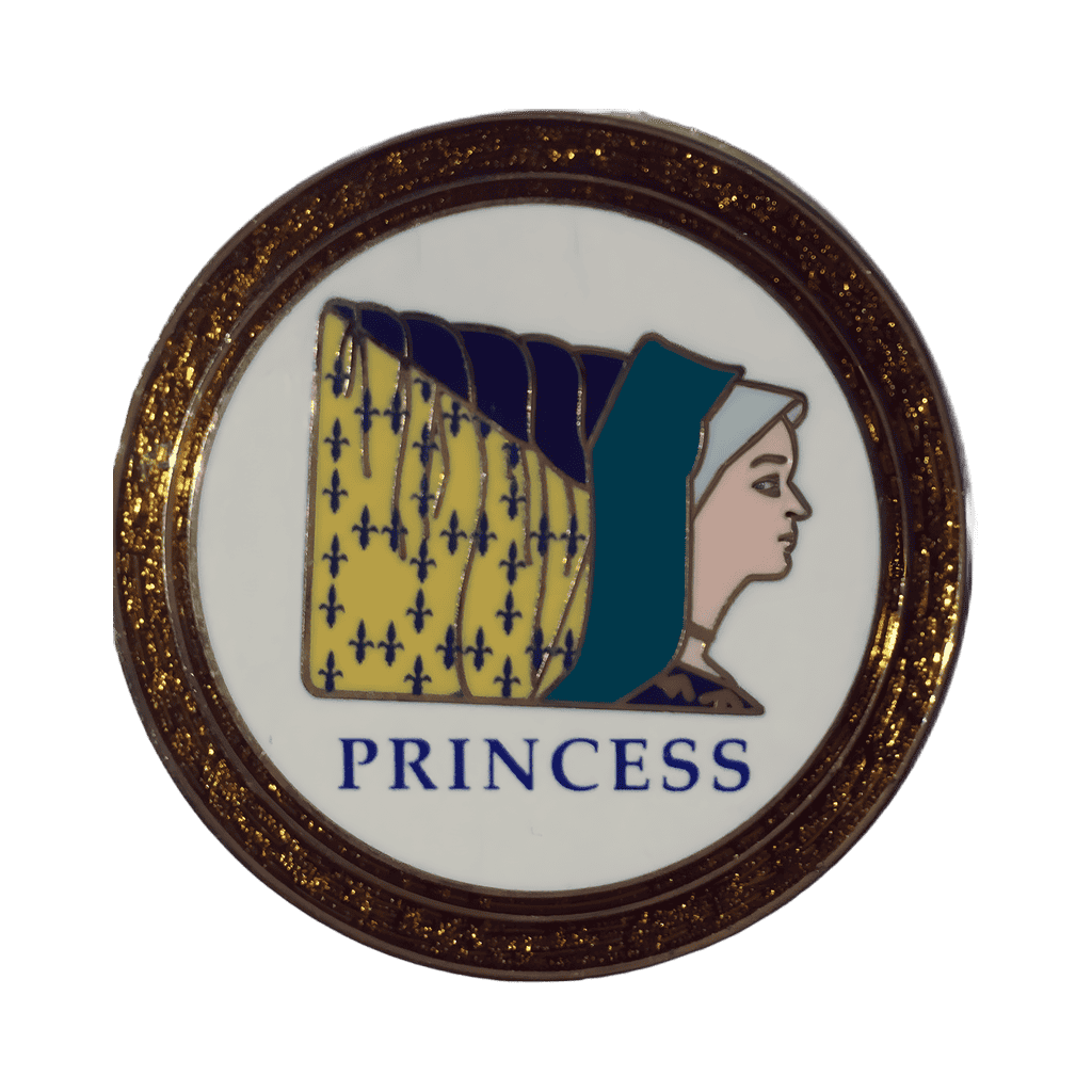Fantasyland - Princess Disney pin
