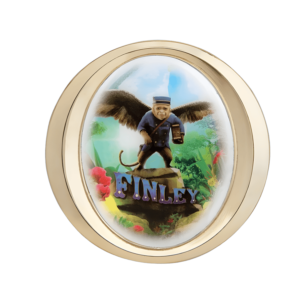 Golden Frame Boxed Set - Finley Disney pin