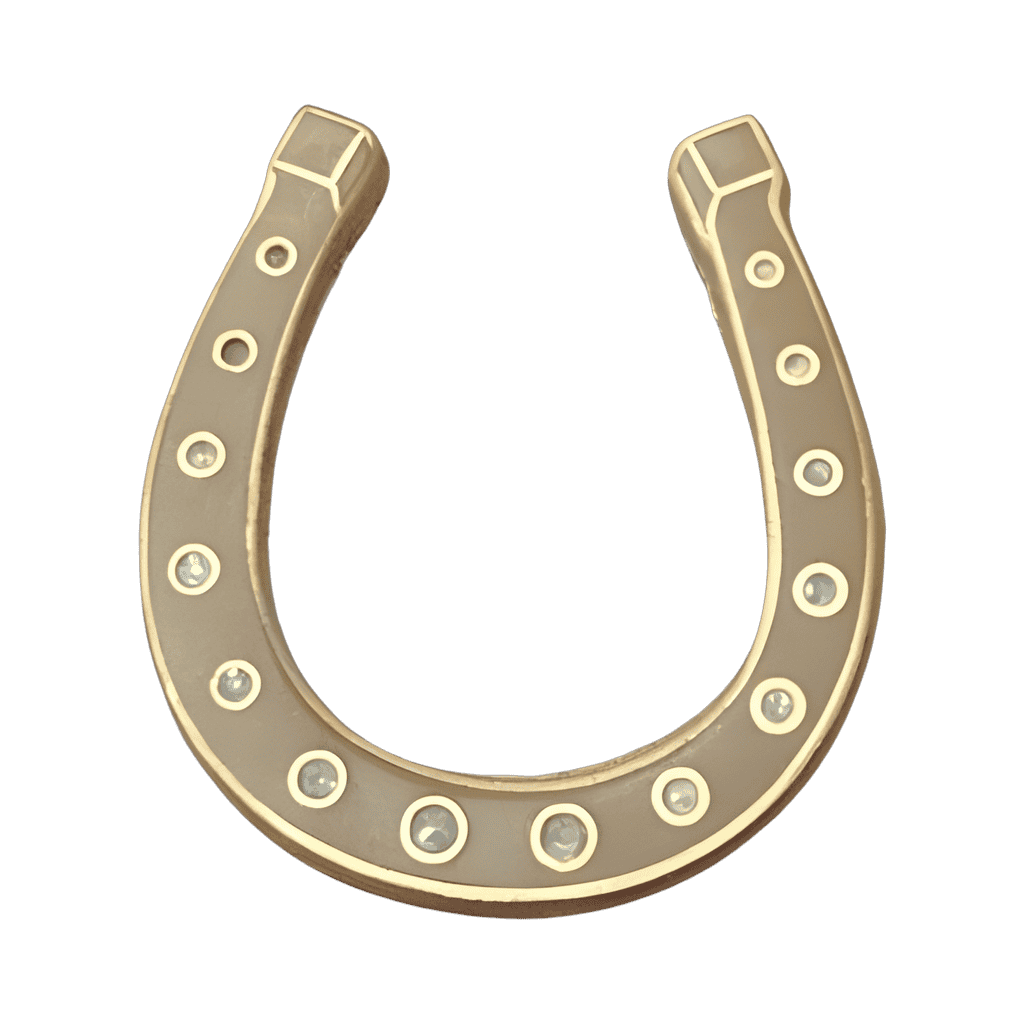 The Golden Horseshoe Disney pin