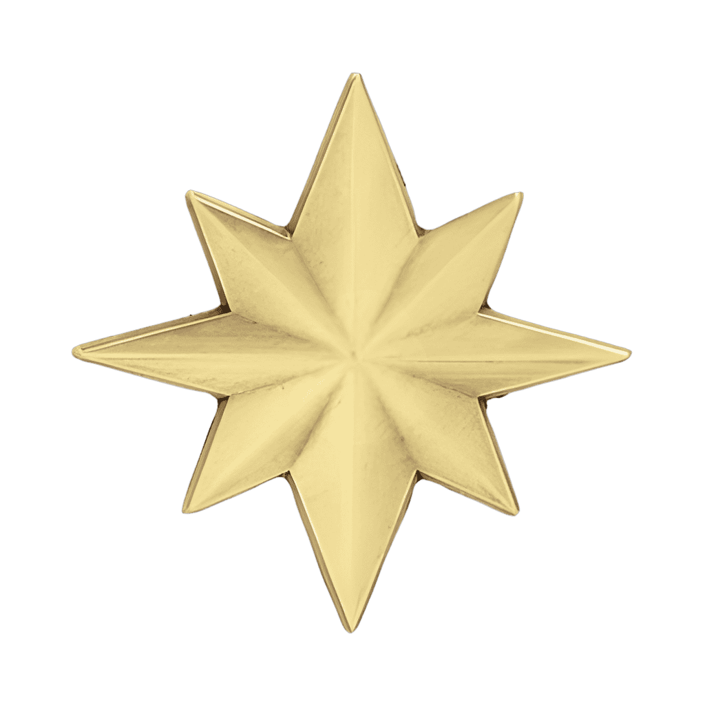 Star Emblem Disney pin
